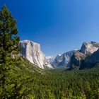 Yosemite Tunnelview