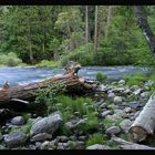 Yosemite Valley