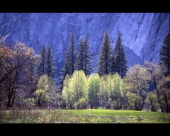 Yosemite Valley