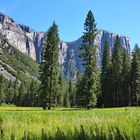 Yosemite Valley mit El Capitan