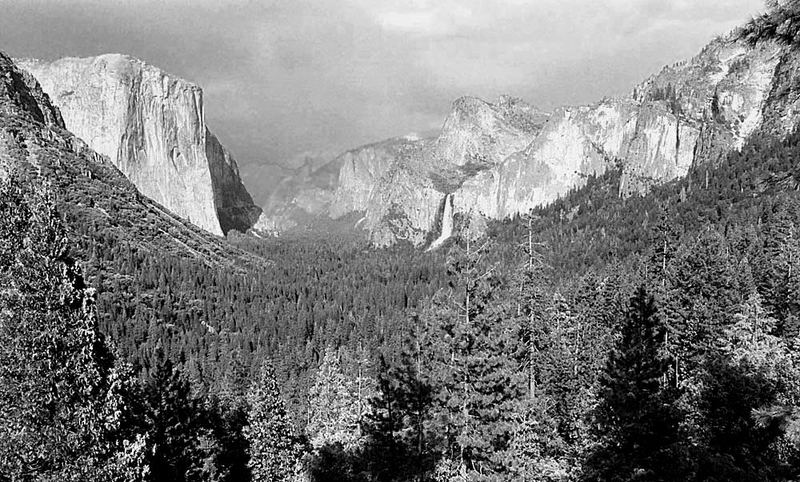 Yosemite Valley scene