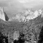 Yosemite Valley scene