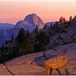 Yosemite@Night