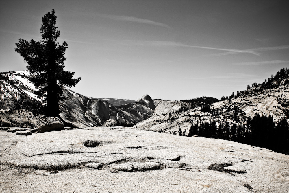 Yosemity Canyon