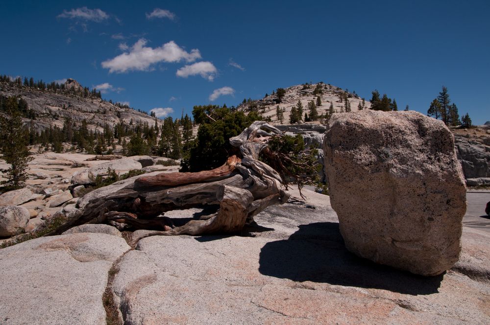 Yosemity NP