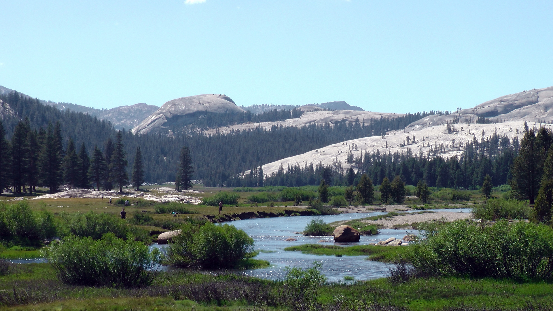 Yosemity NP Hochebene Nord im Juli