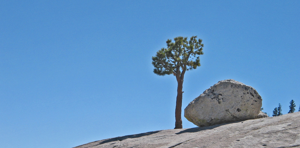 Yosemity NP, Tioga Pass, USA