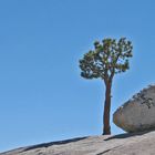 Yosemity NP, Tioga Pass, USA