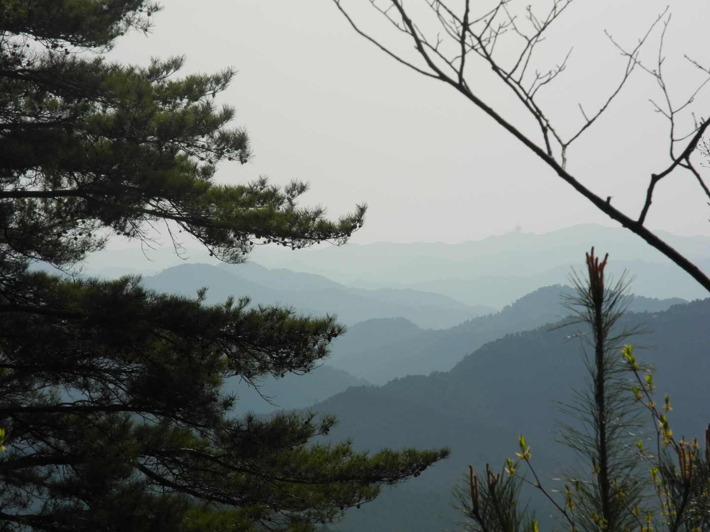 Yoshino - Japan