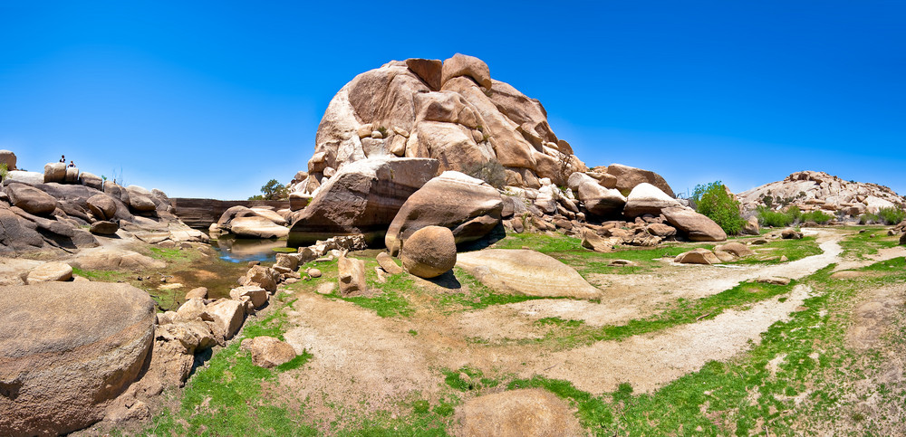 Yoshua Tree National Park California, USA II