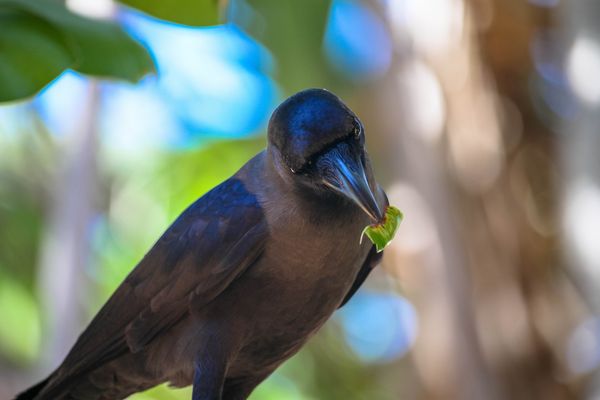 ...you are being watched..