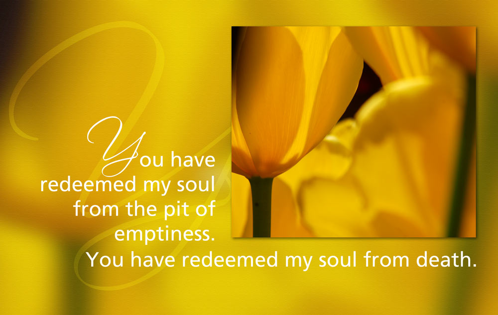 You have redeemed