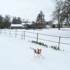 you hou ma première neige