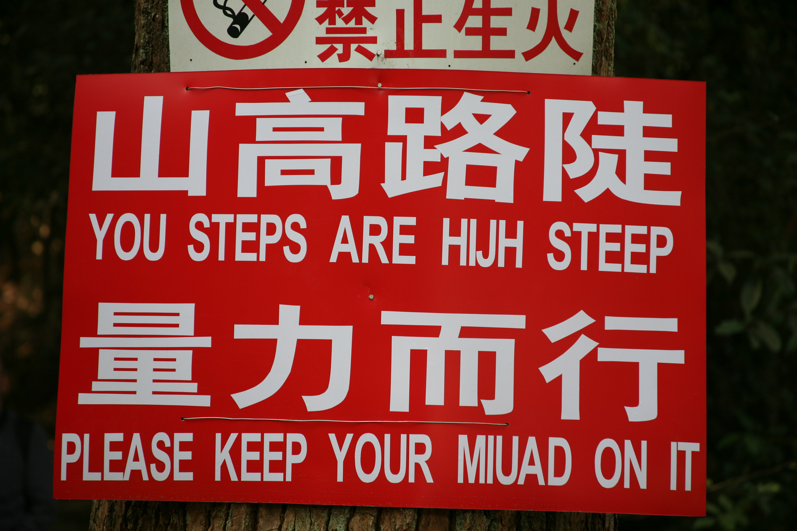 YOU STEPS ARE HIJH STEEP...