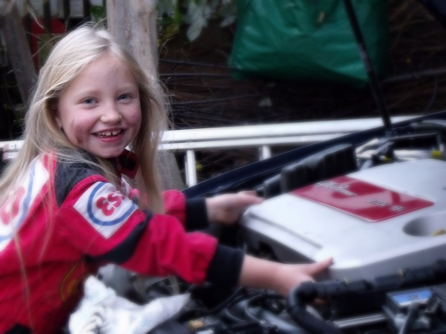 young alfa mechanics