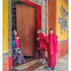 Young Buddhist Monks 