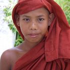 Young Burmese Monk