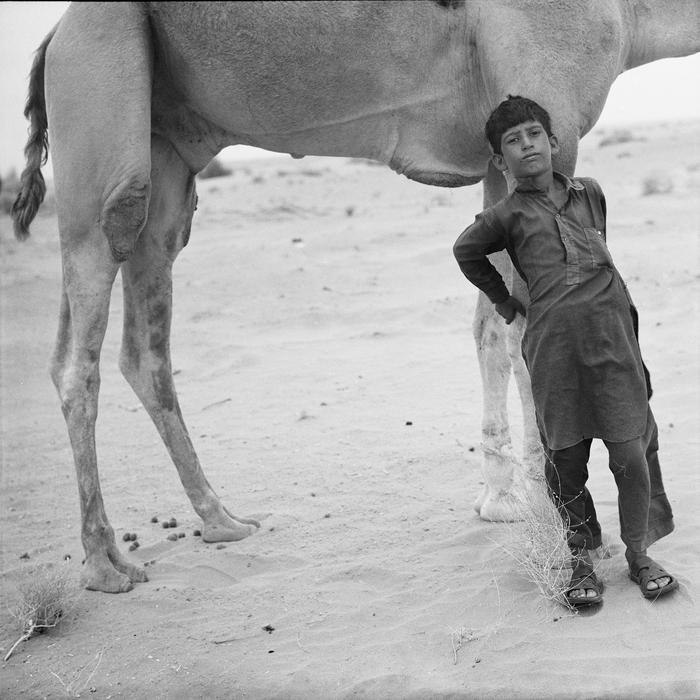 Young camel rider
