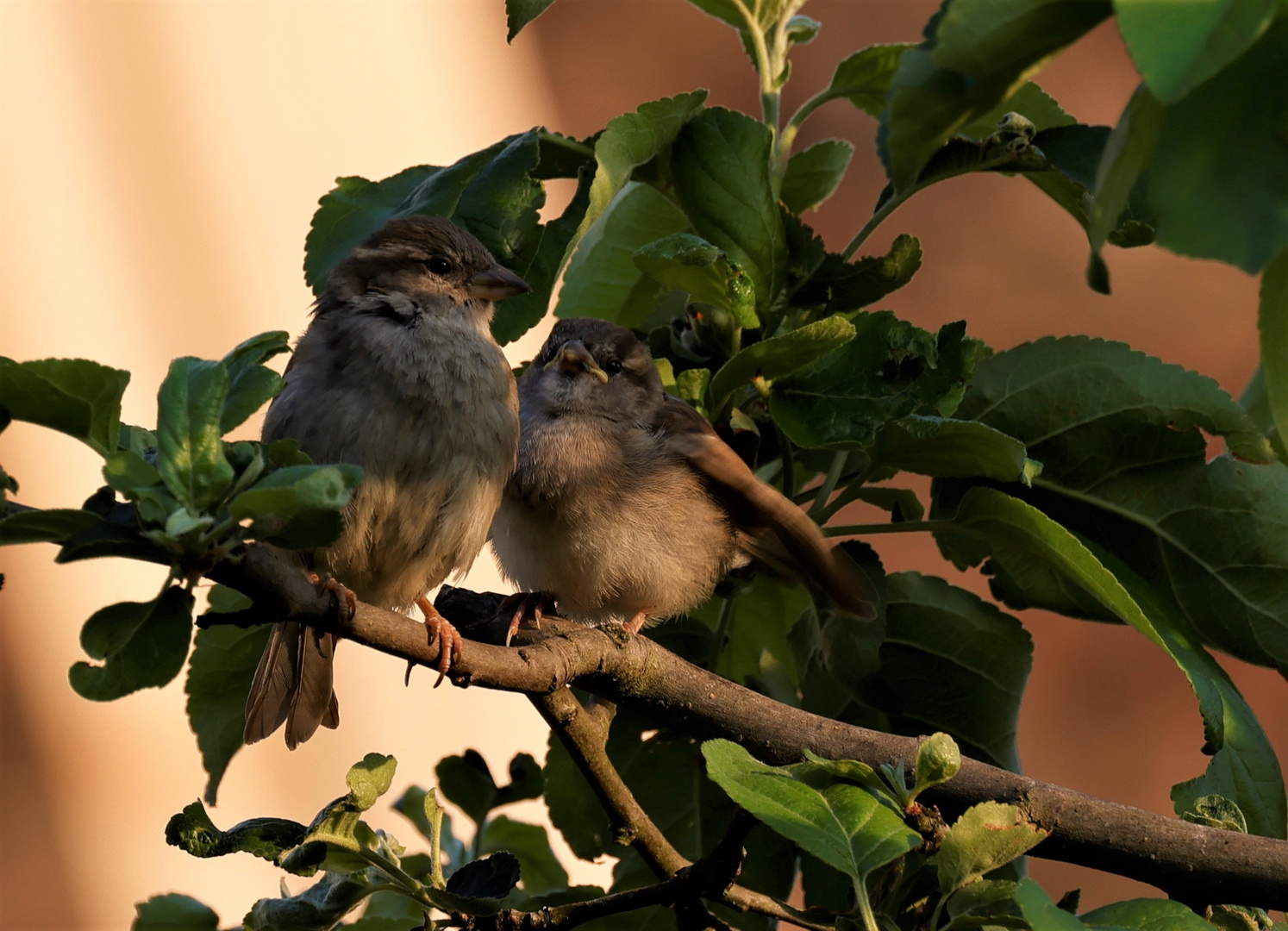 Young Couple