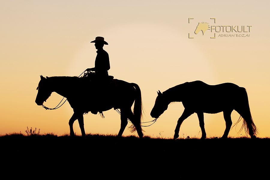 Young Cowboy