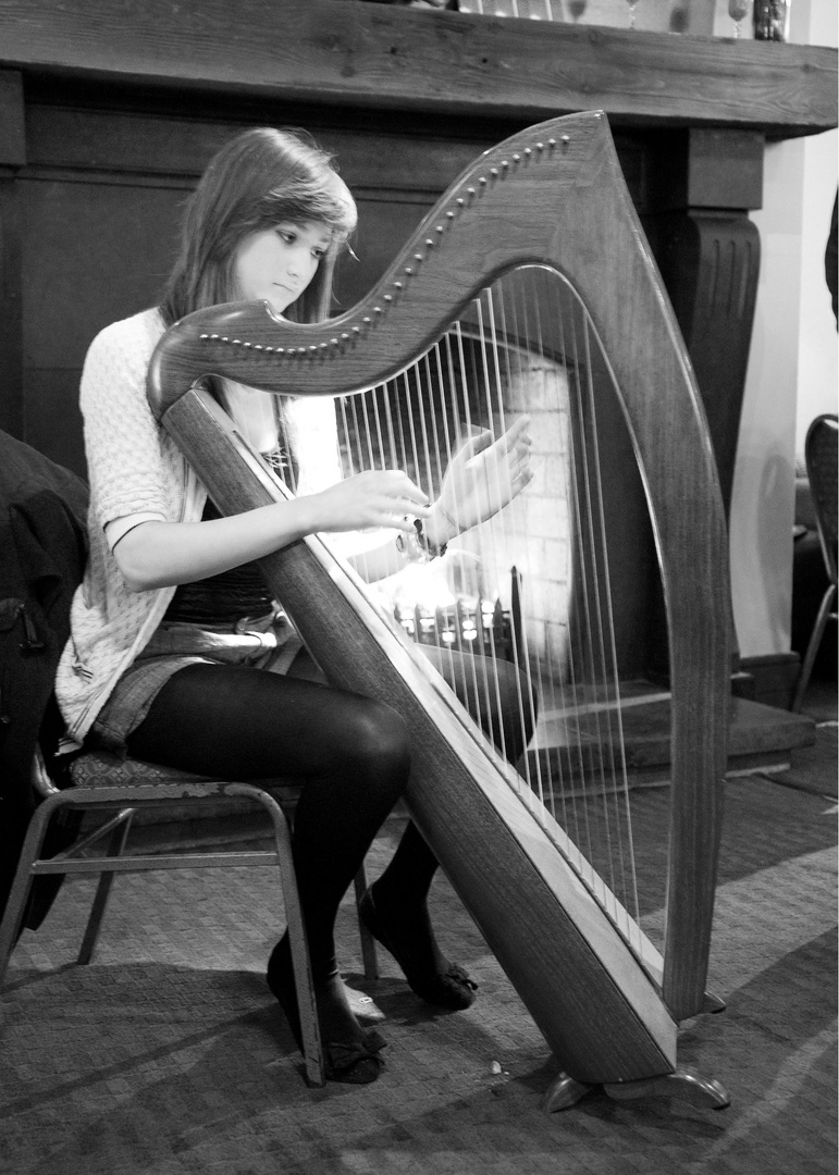 Young Irish Harpist - Sligo 2010