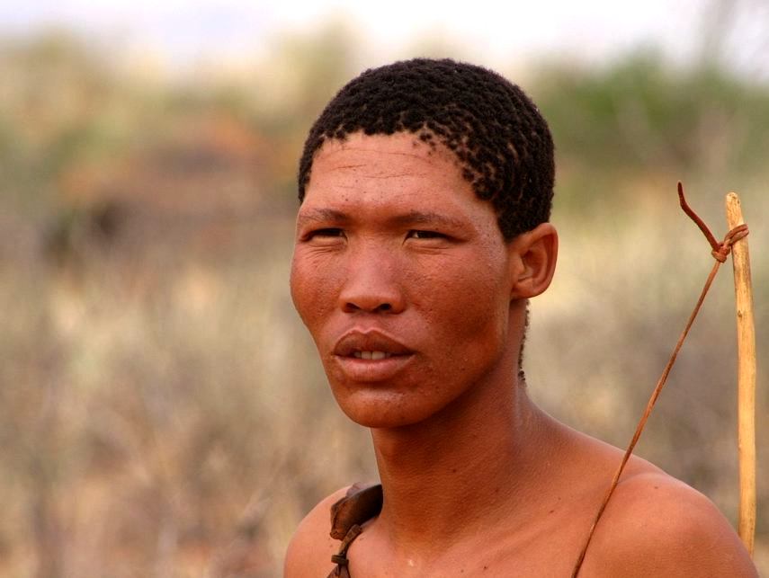 Young Kalahari Bushman