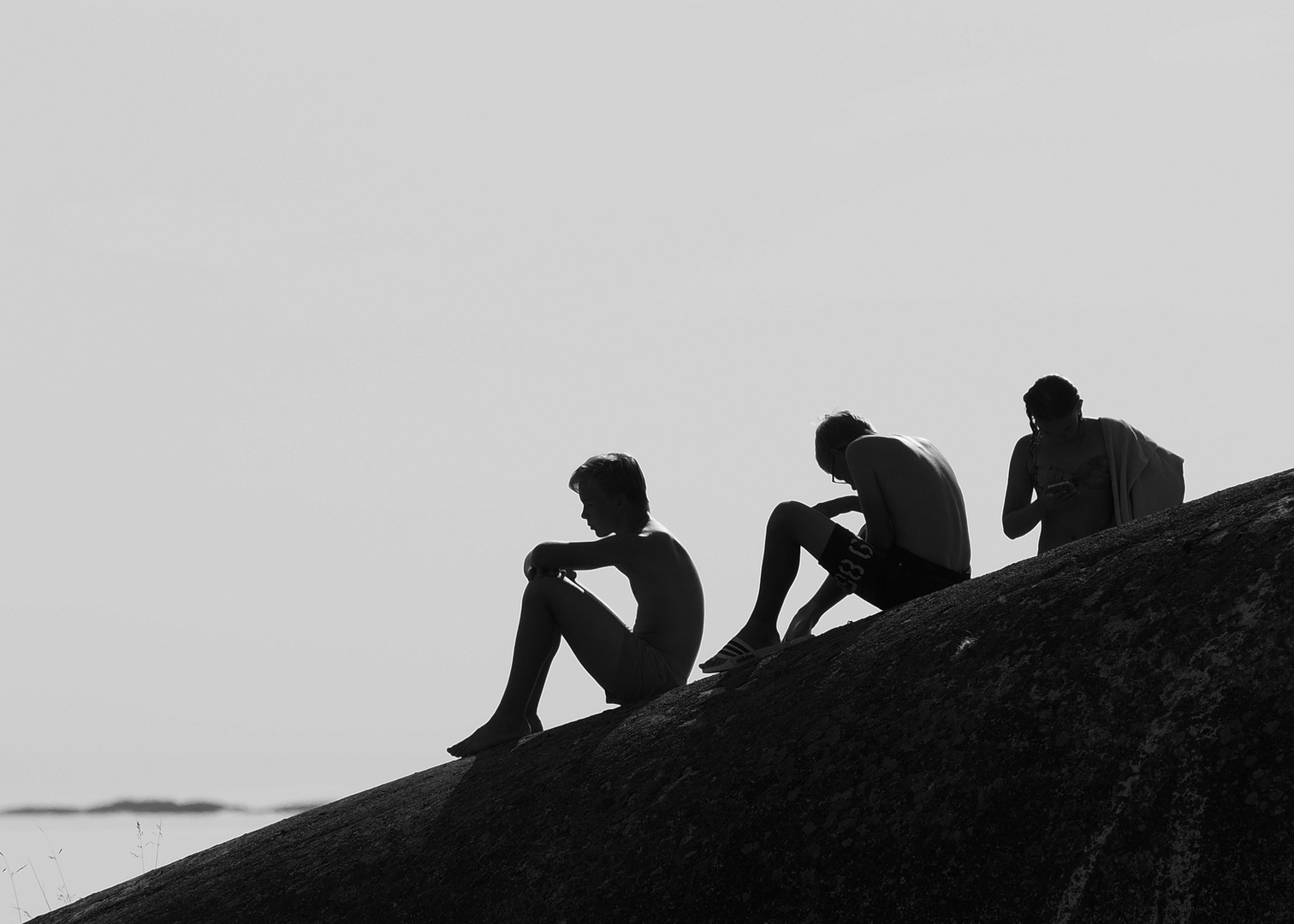 Young Men in Swedish Summer