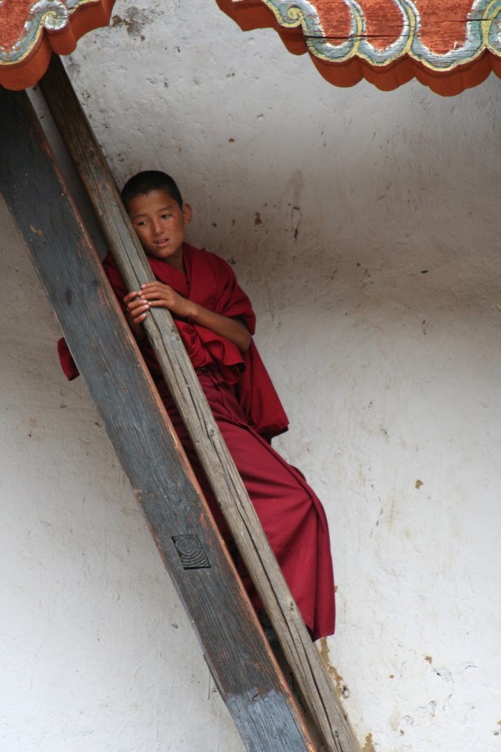 Young monk