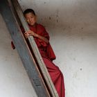 Young monk