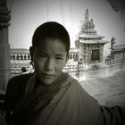 Young monk