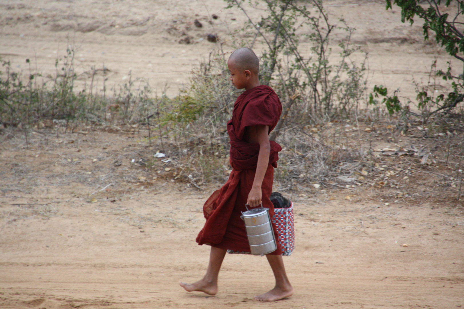 young monk every morning out for food