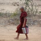 young monk every morning out for food