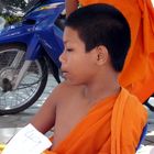 young monk koh samui