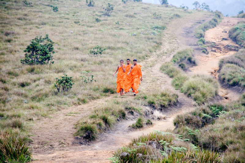 young monks