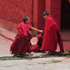 Young Monks