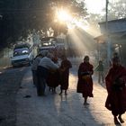 Young monks receiving food donations in the early morning