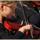 young musician concentrating