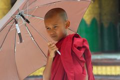 Young novice getting monkshood in Myanmar