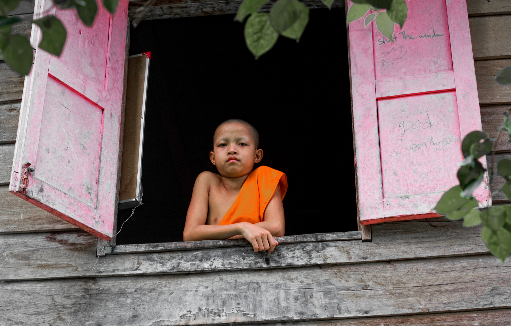 Young Novice in Luang Prabang