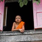 Young Novice in Luang Prabang