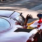 Young passenger in old Alfa