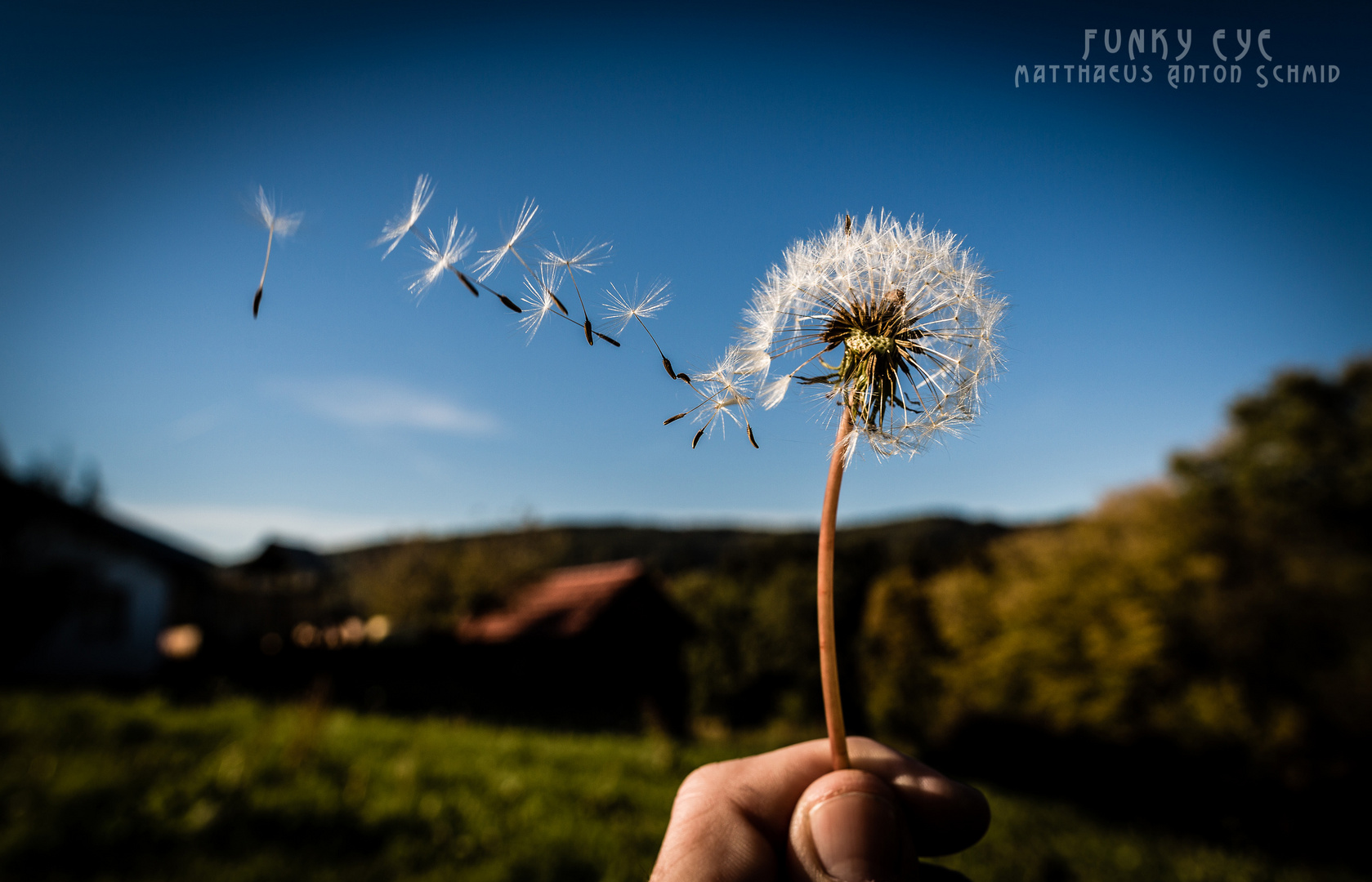 Your Life Hangs On A Thin Wire