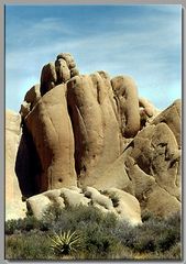 Youshua tree Nat.Park