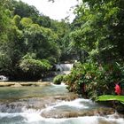 YS-Falls Jamaica