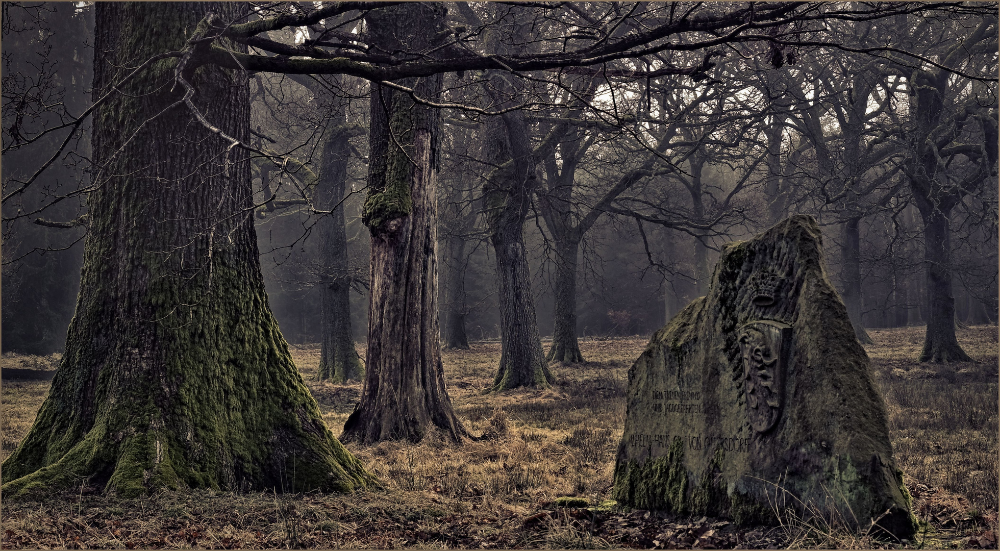 Ysenburger Geisterwald.....