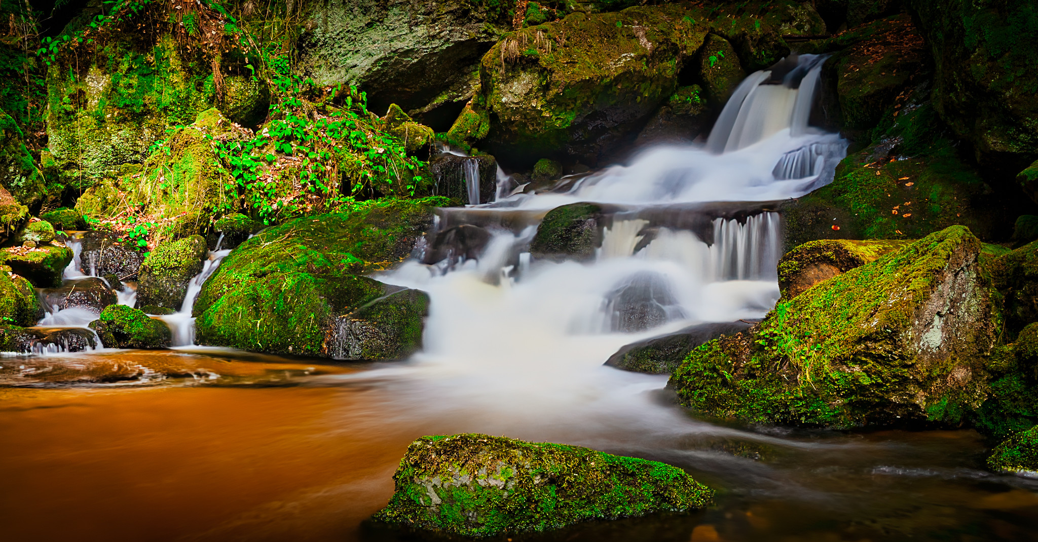 Ysperklamm