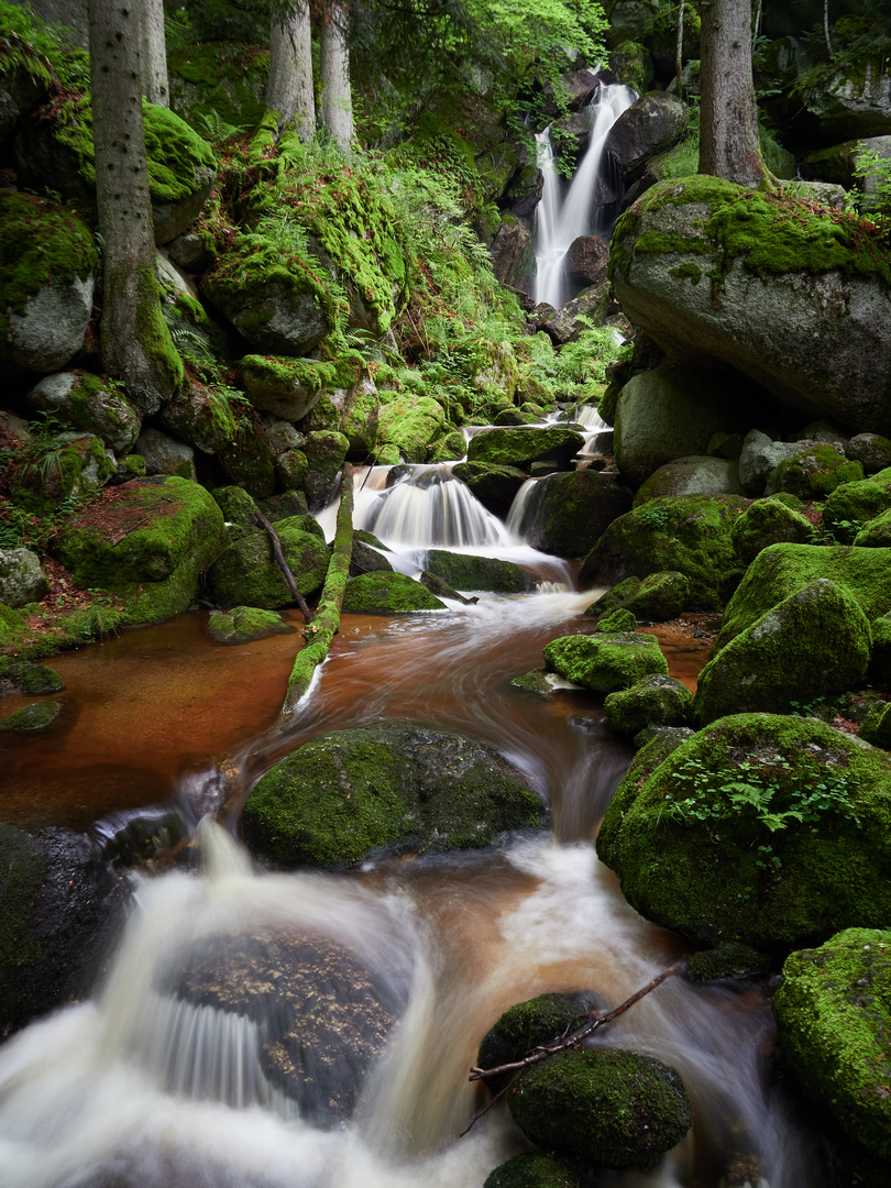 Ysperklamm