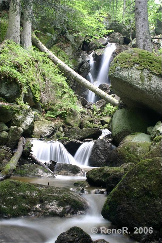 Ysperklamm