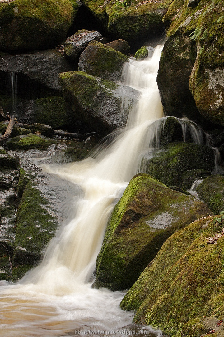 Ysperklamm