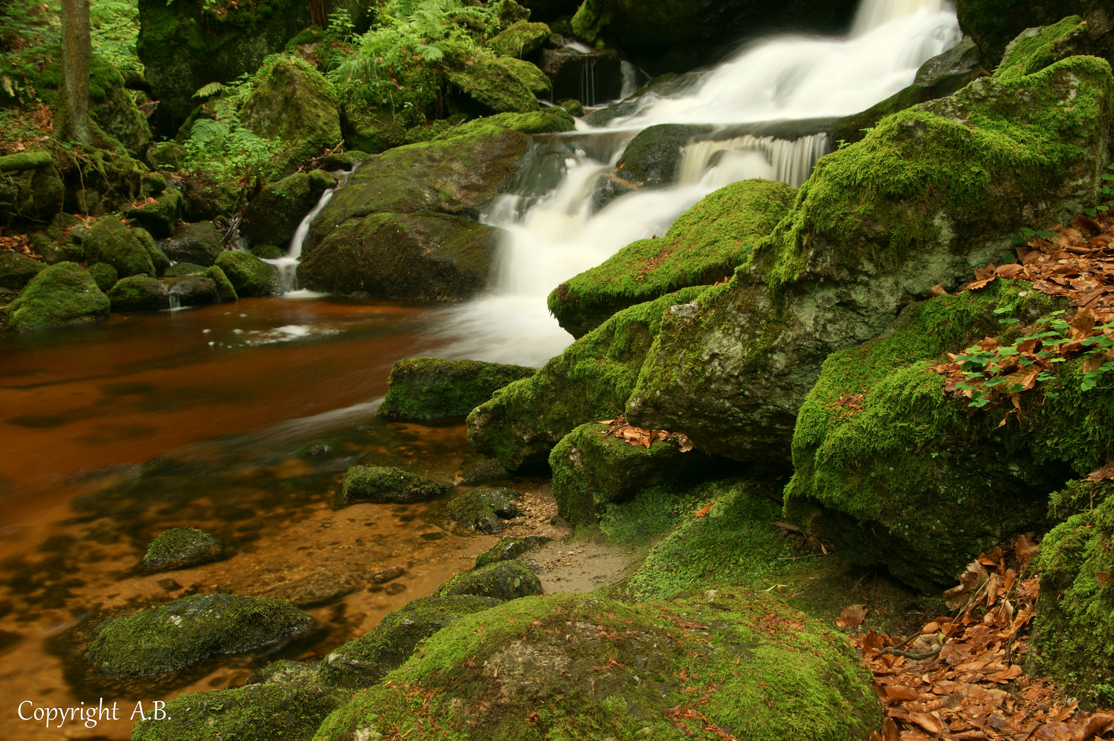 Ysperklamm